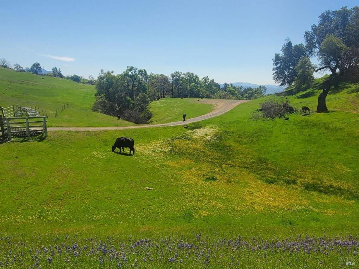 MLS #325040036 img 0