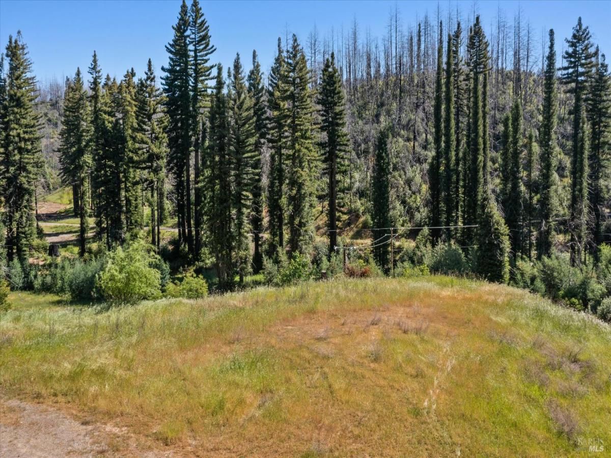 MLS #325041429 img 0