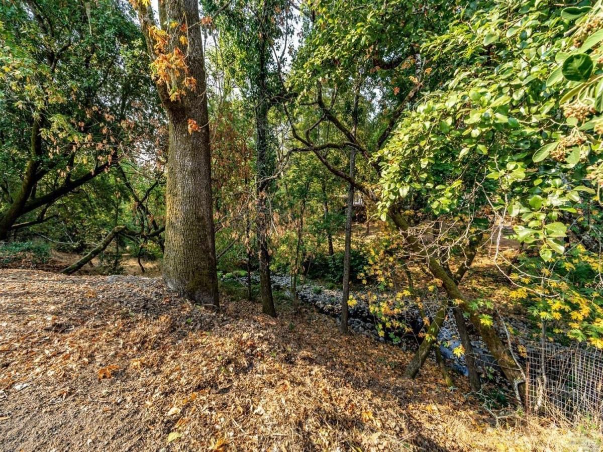 MLS #325041437 img 0