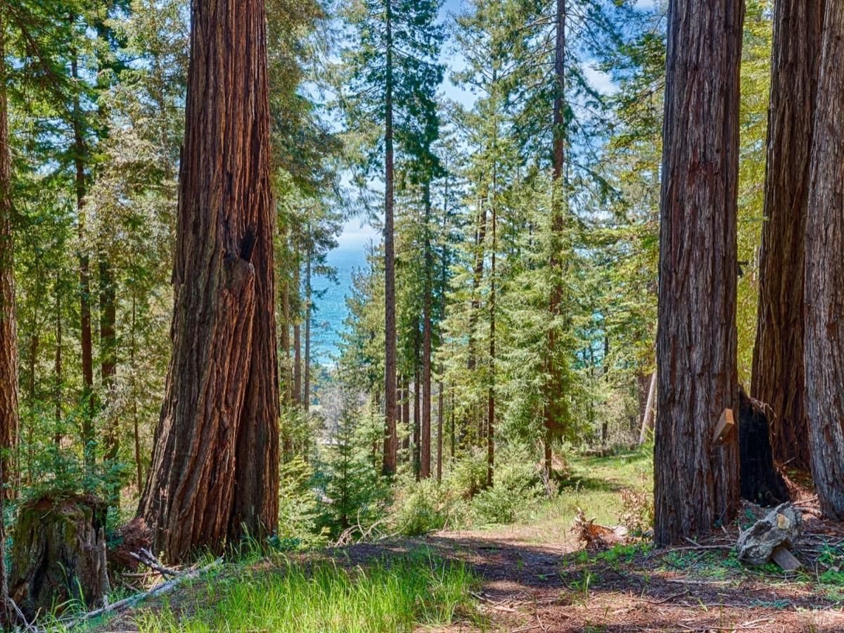 MLS #325042253 img 0