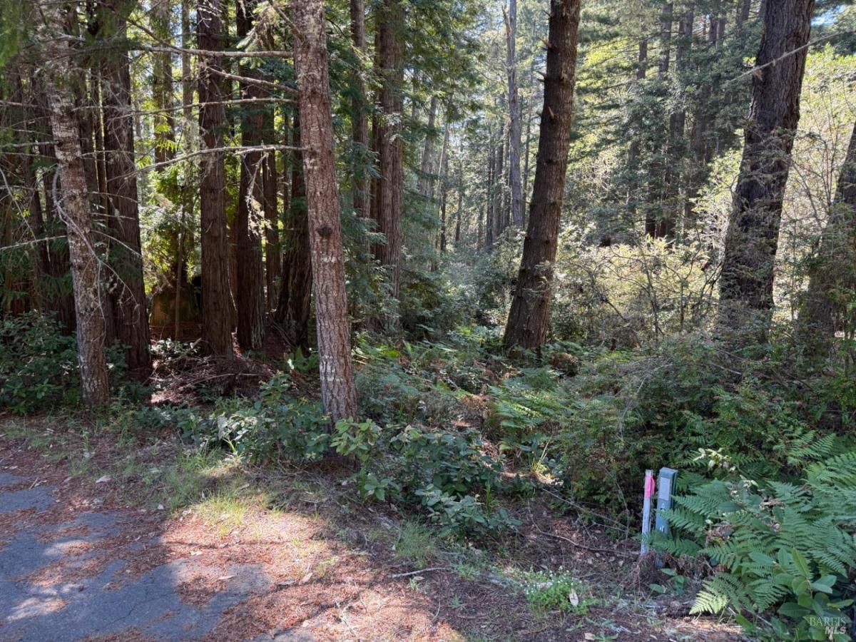 MLS #325044368 img 0