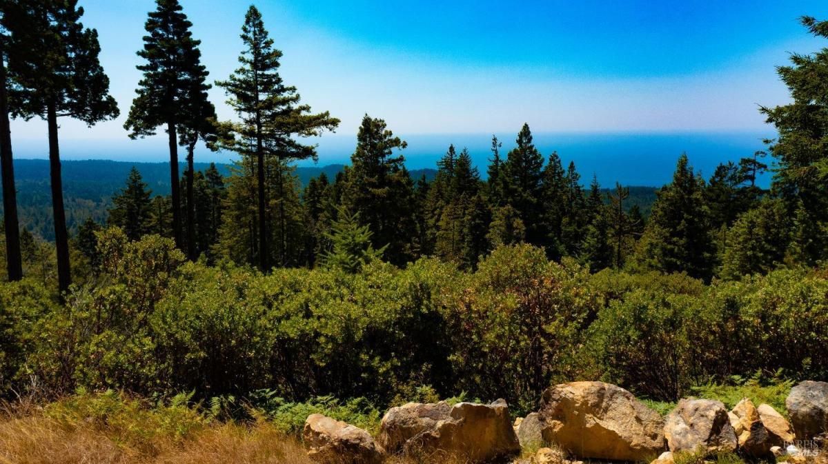 MLS #325046197 img 0