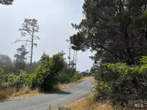 MLS #325047804 img 0