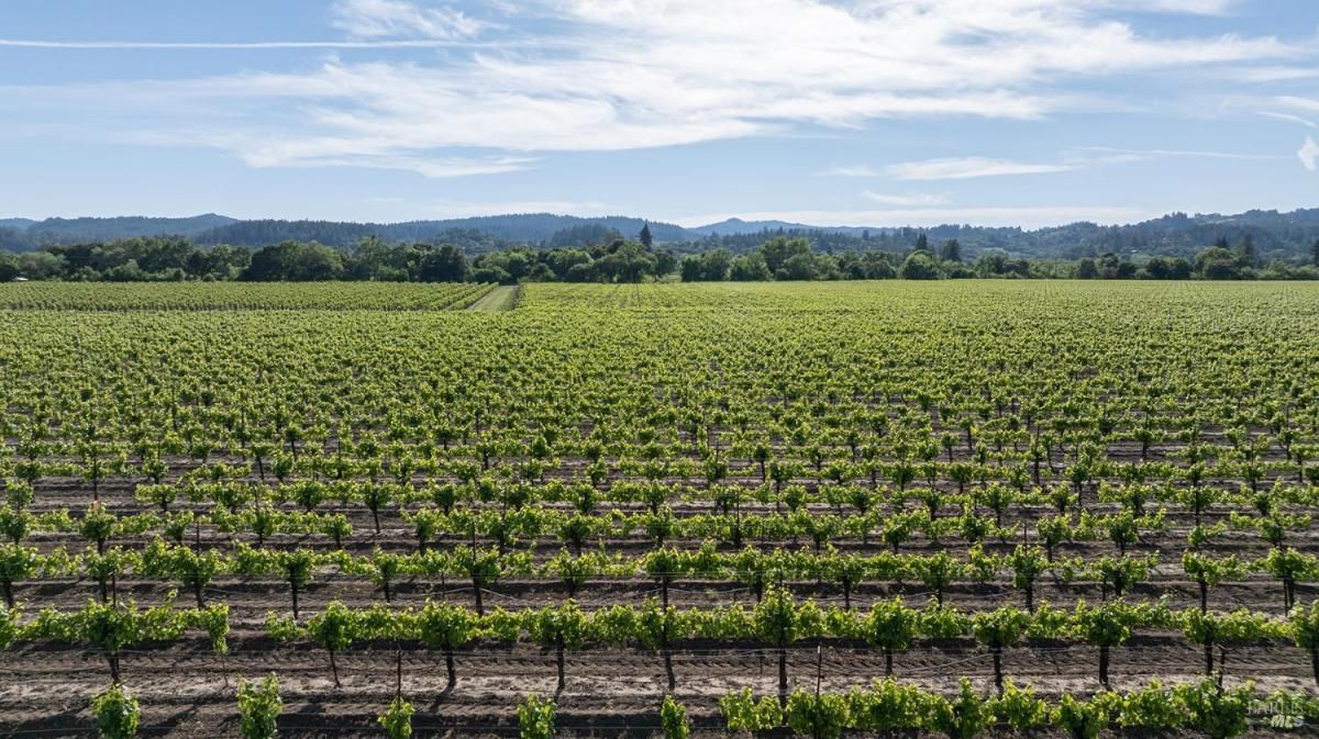 MLS #325047831 img 0