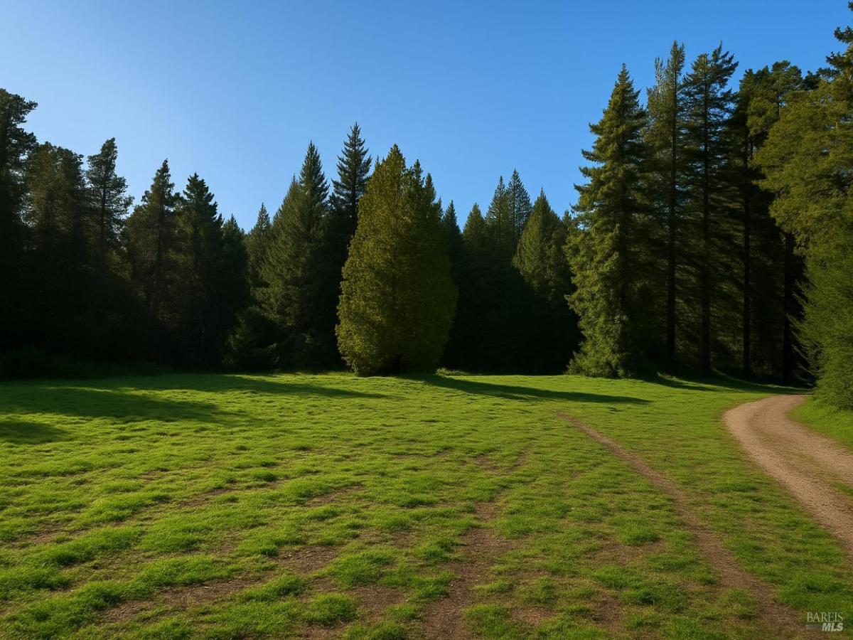 MLS #325047846 img 0