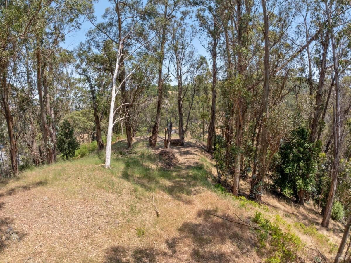 MLS #325048501 img 0