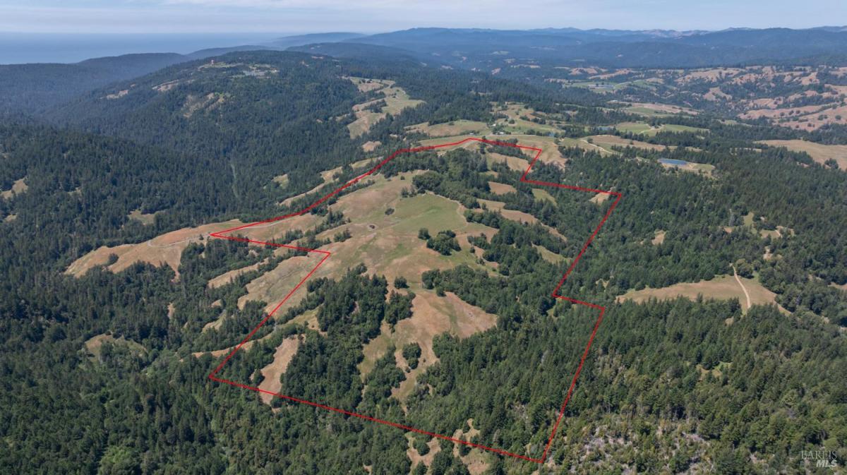 MLS #325052069 img 0