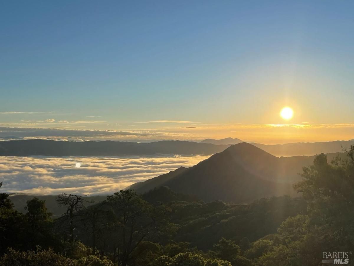 MLS #325053830 img 0