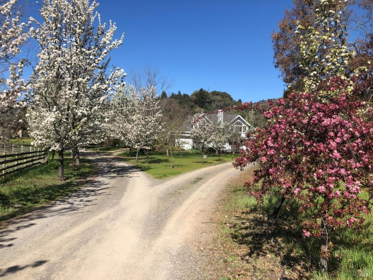 MLS #325054695 img 0