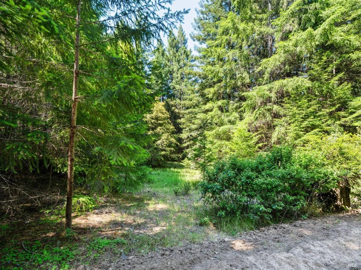 MLS #325056060 img 0