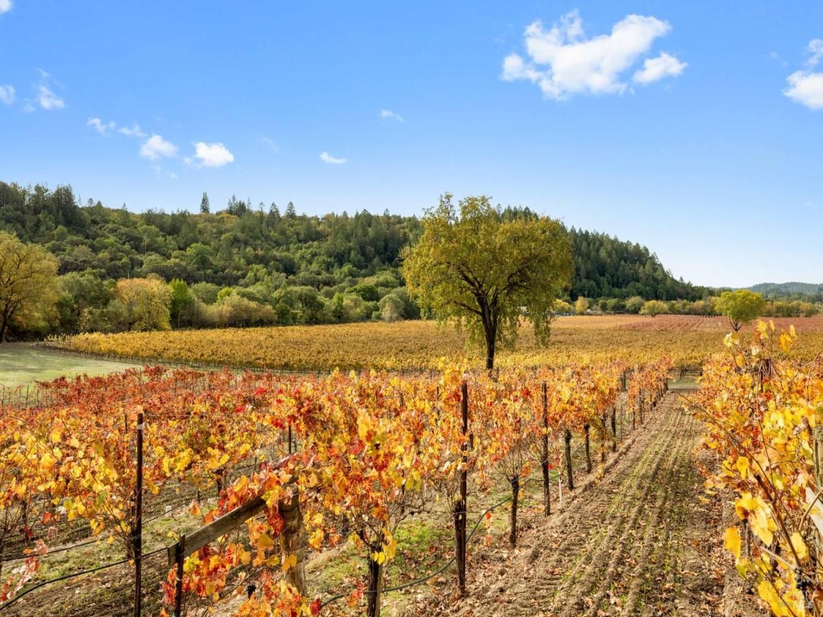 MLS #325058639 img 0