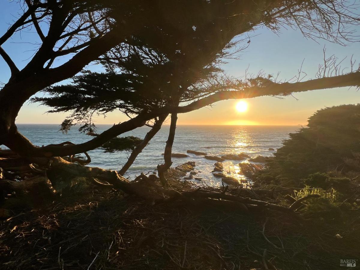 MLS #325059982 img 0