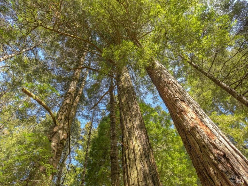 MLS #325060377 img 0