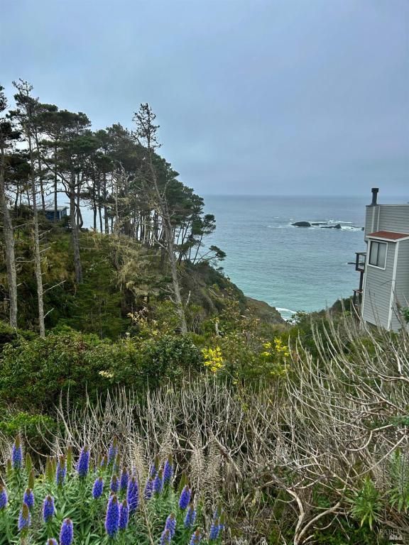 MLS #325060455 img 0