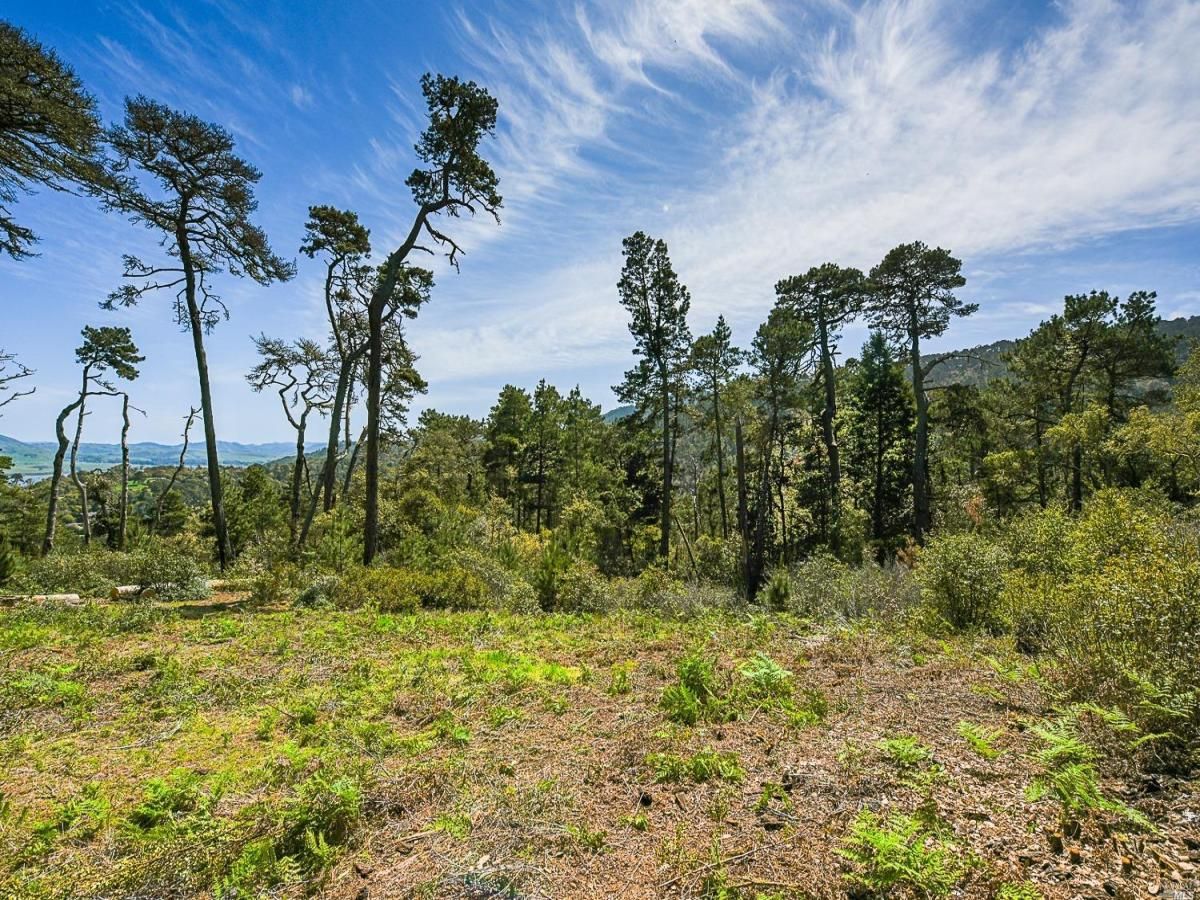 MLS #325062036 img 0