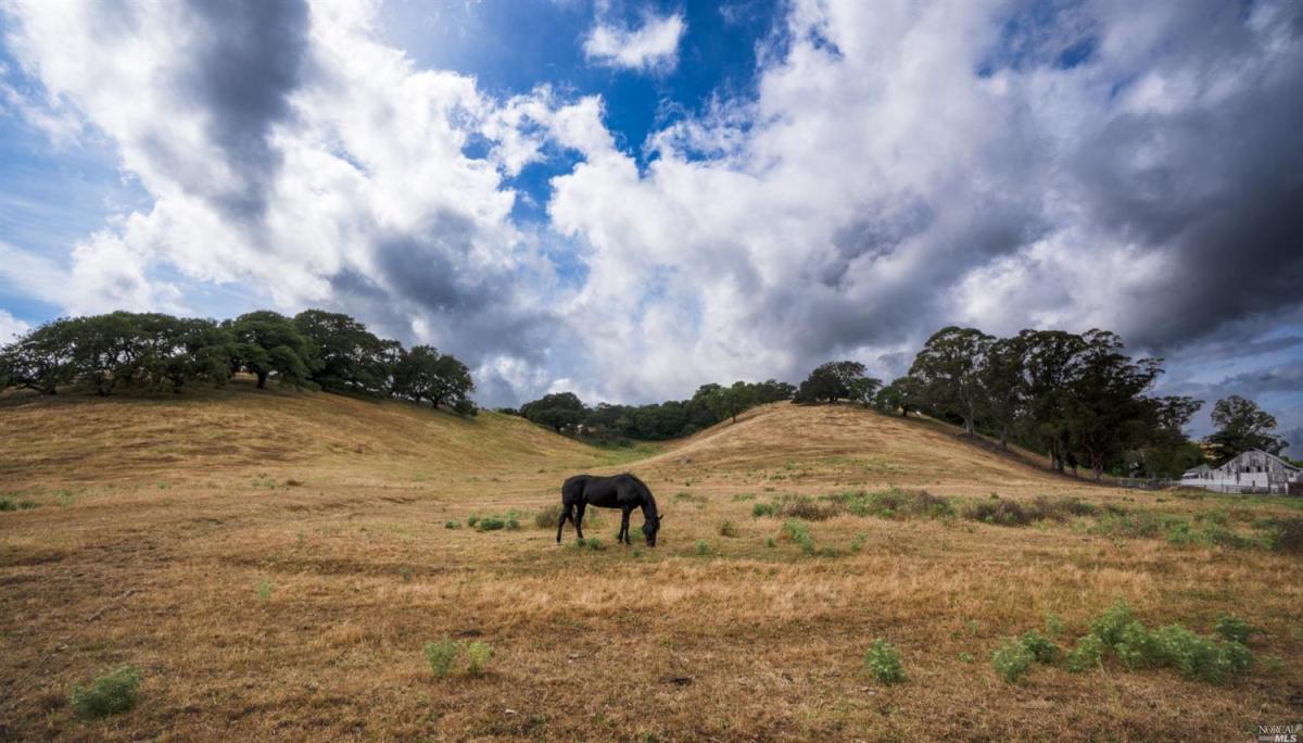 MLS #325063263 img 0