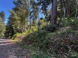 MLS #325064077 img 0