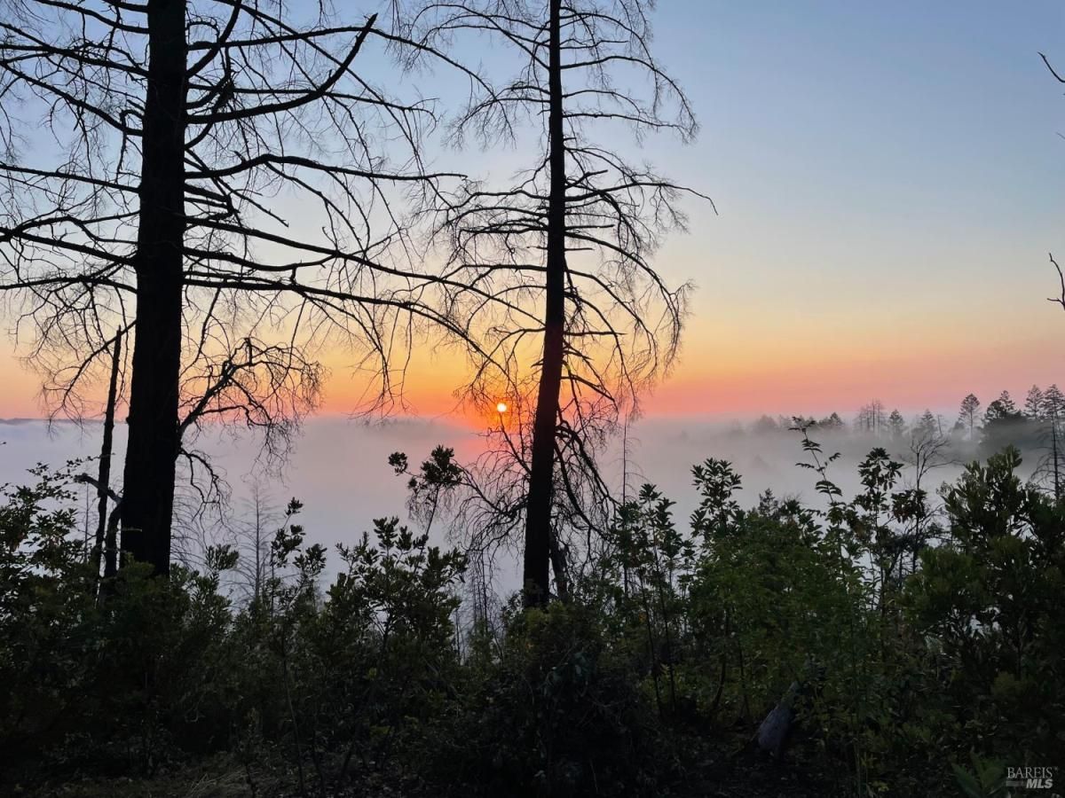 MLS #325066579 img 0