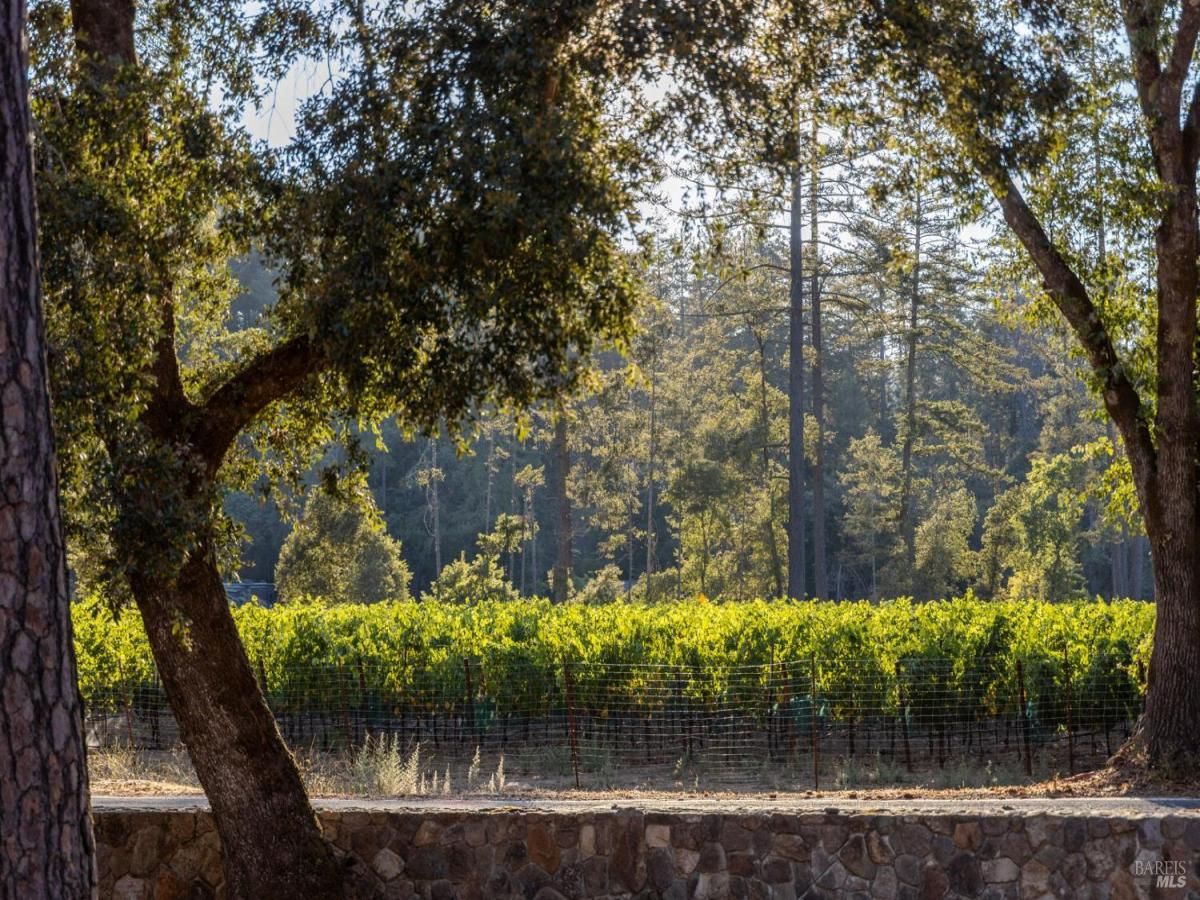 MLS #325066604 img 0