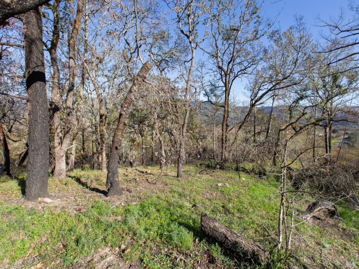 MLS #325067662 img 0