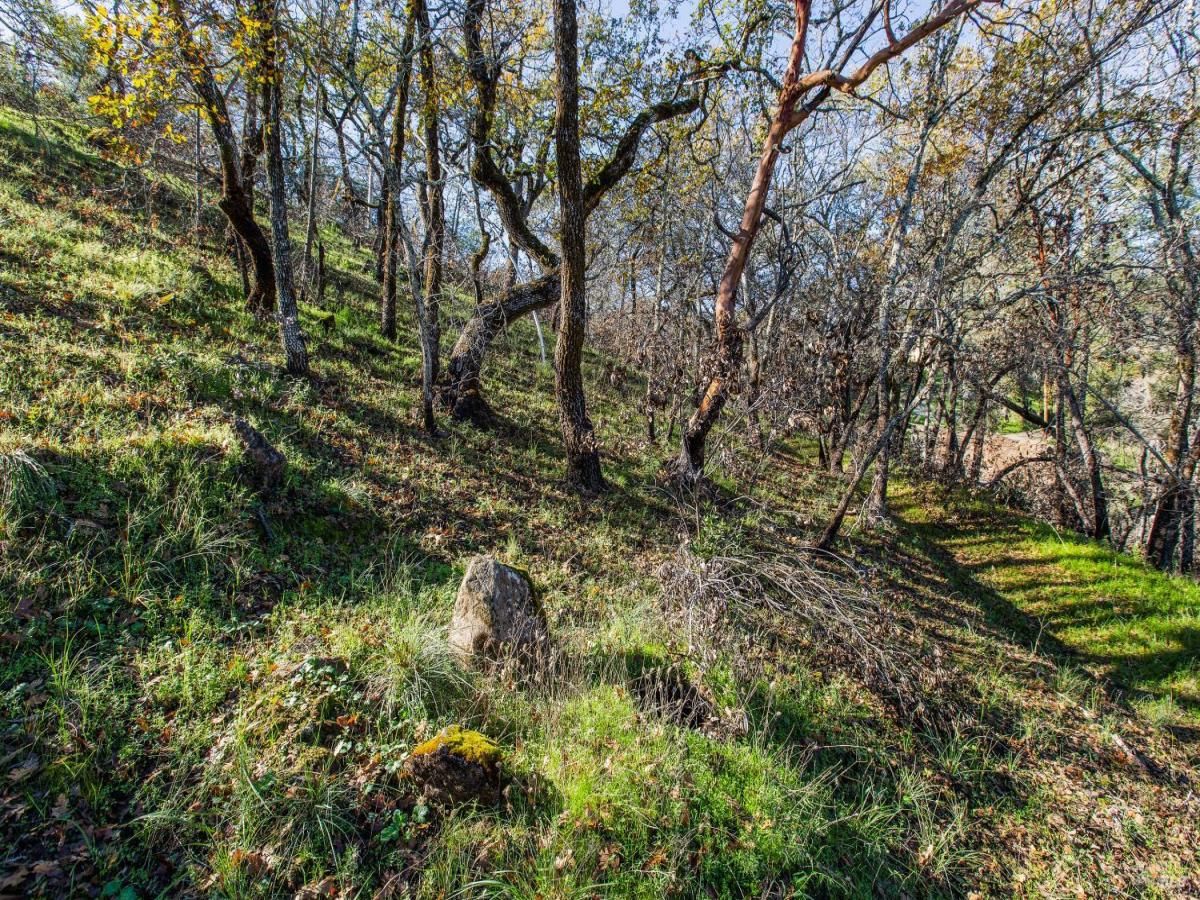 MLS #325067662 img 0