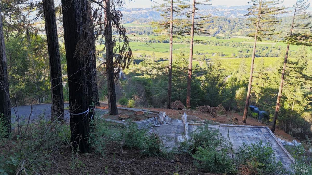 MLS #325067783 img 0