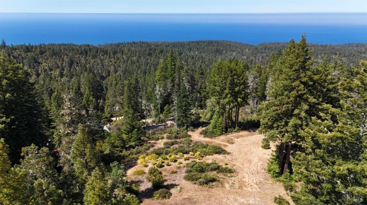 MLS #325070413 img 0