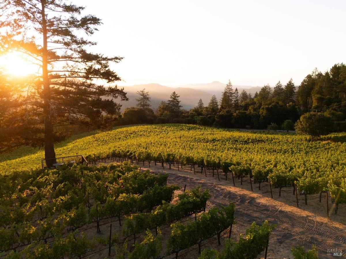 MLS #325072707 img 0