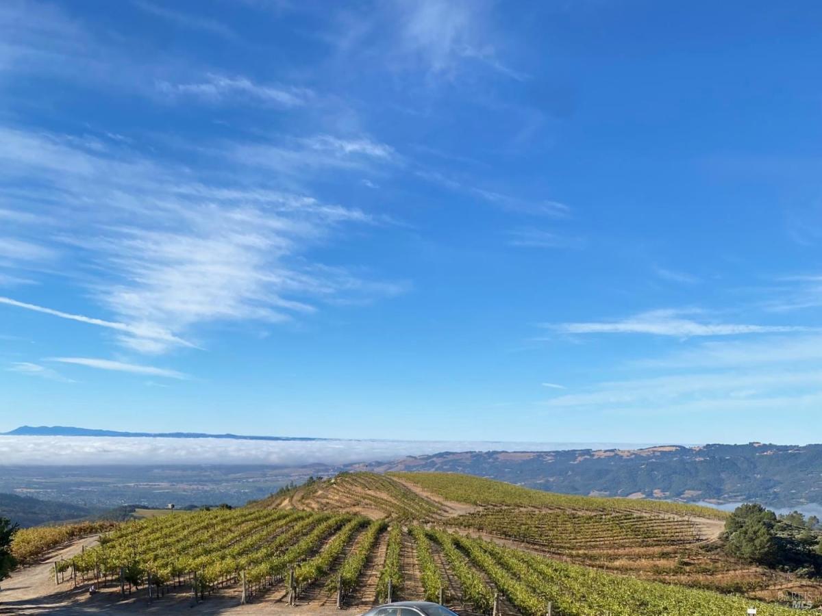 MLS #325075736 img 0