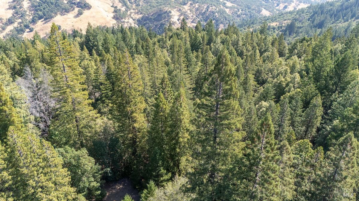 MLS #325076681 img 0