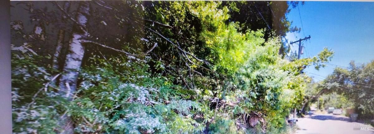 MLS #325077588 img 0