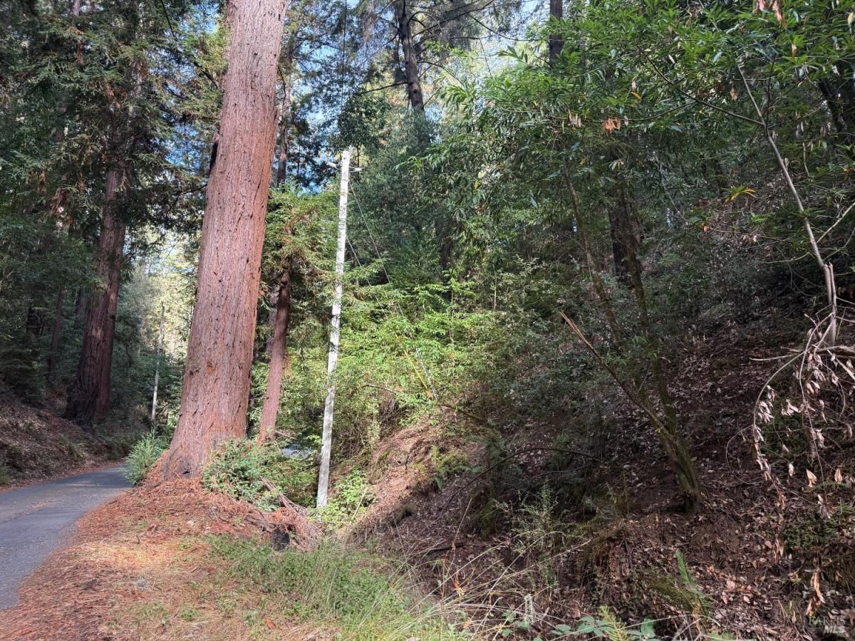 MLS #325079086 img 0