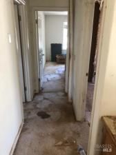 MLS #325080370 img 0