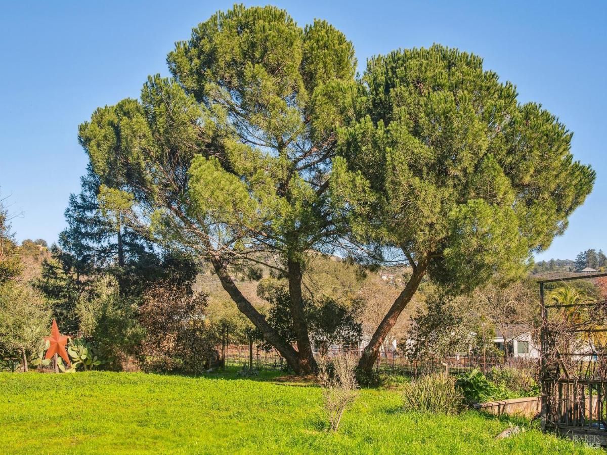 MLS #325080492 img 0