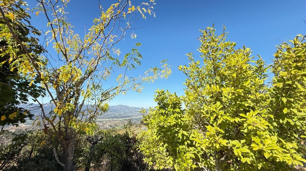 MLS #325083265 img 0