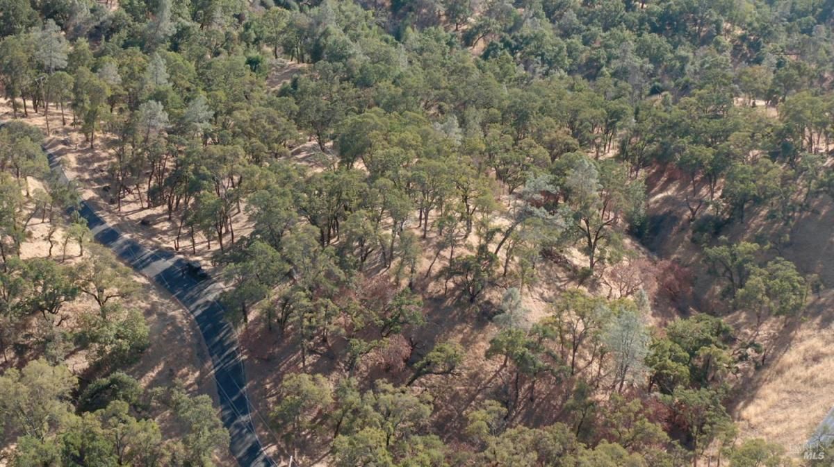 MLS #325084087 img 0