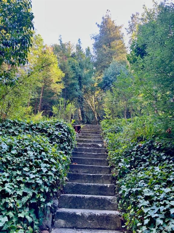 MLS #325085453 img 0