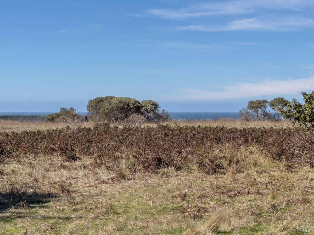 MLS #325088978 img 0