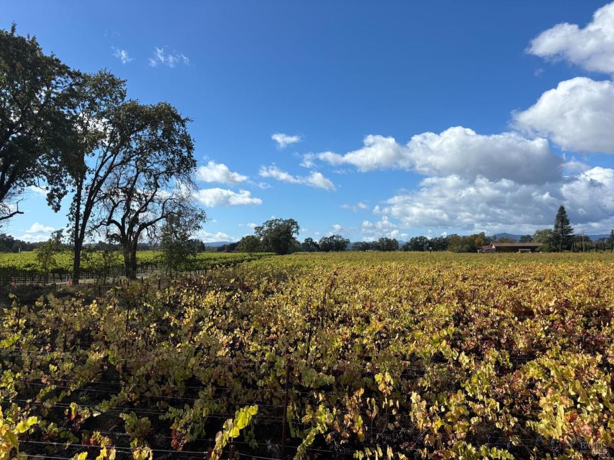 MLS #325089148 img 0