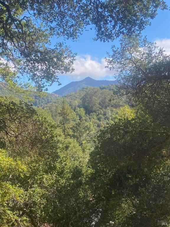 MLS #325089584 img 0