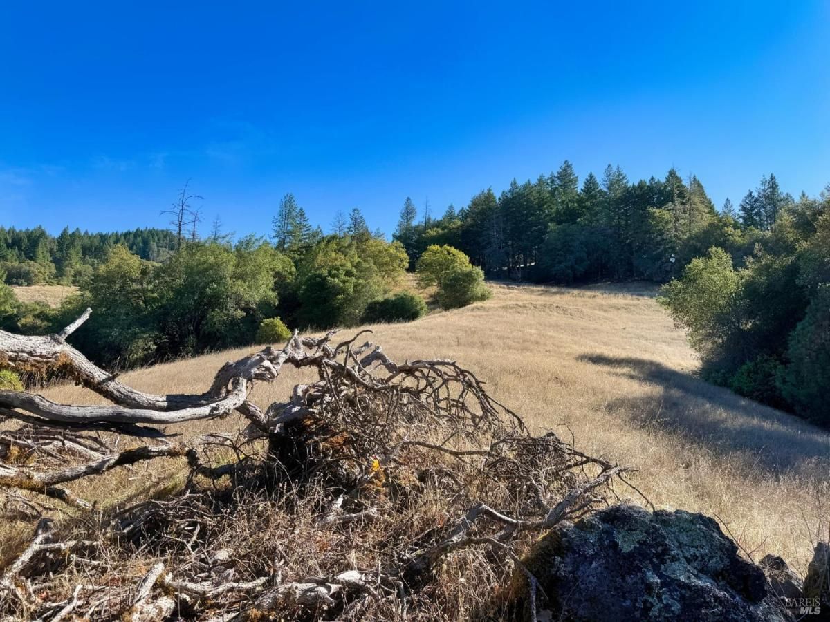 MLS #325092573 img 0