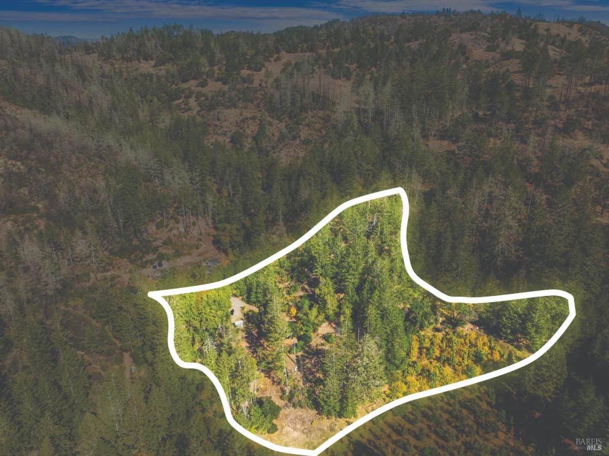 MLS #325093886 img 0