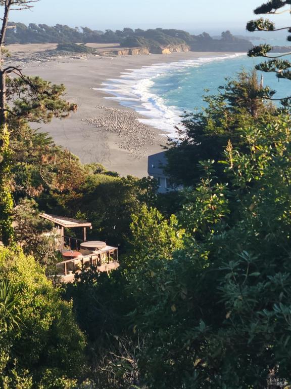 MLS #325094964 img 0