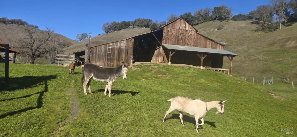 MLS #325094997 img 0