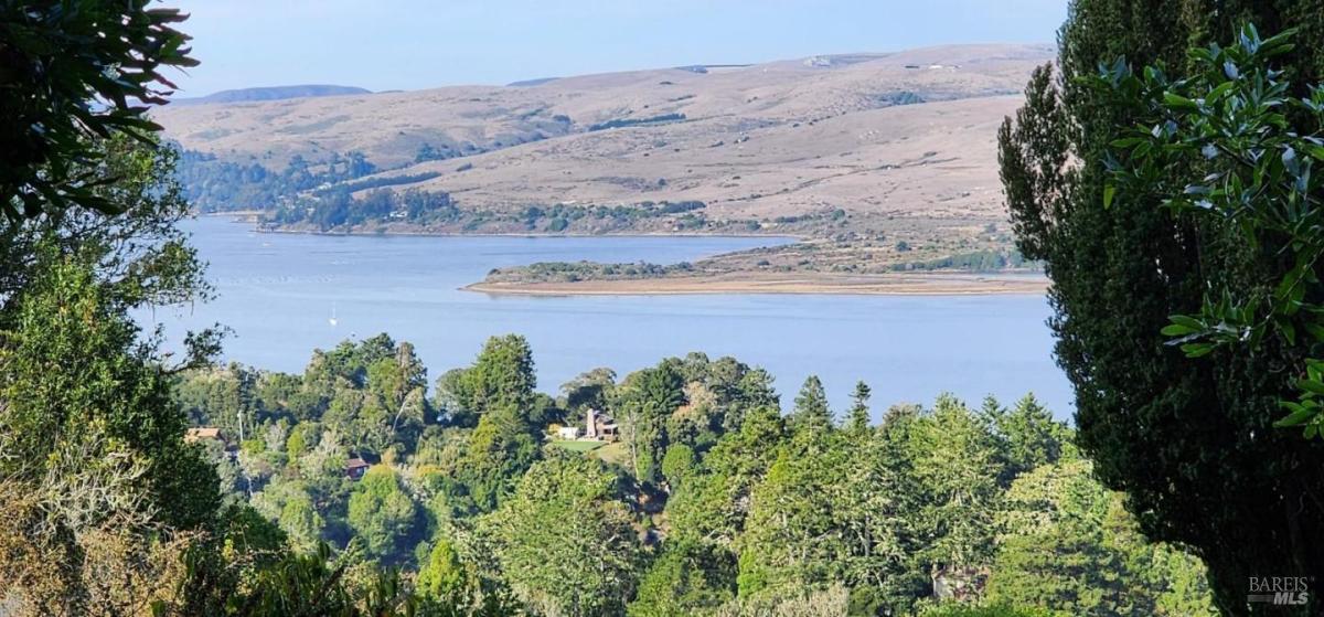 MLS #325100256 img 0