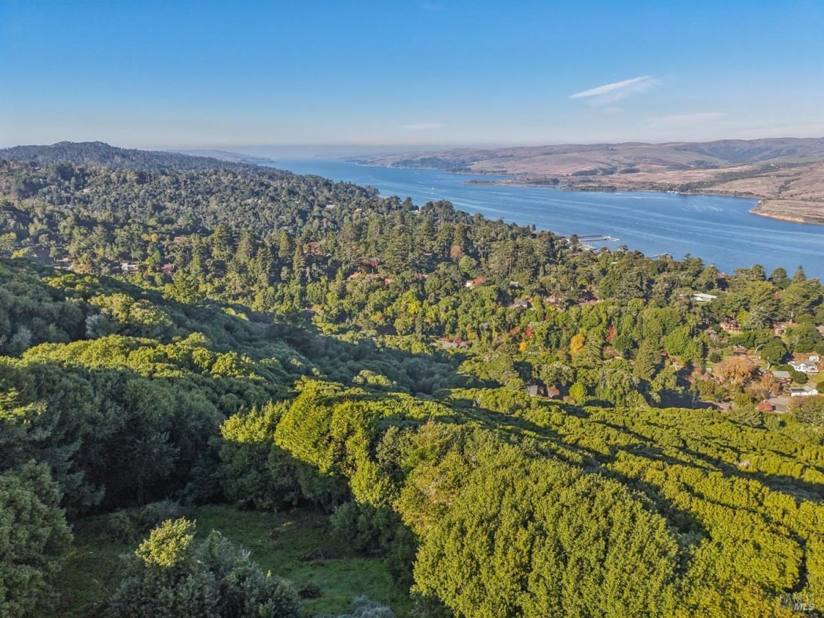 MLS #325100256 img 0