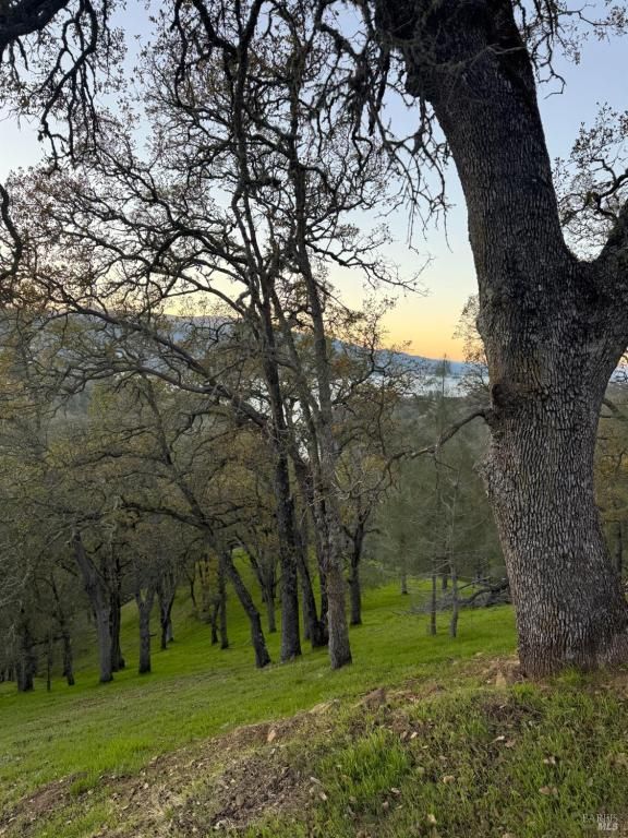 MLS #325100534 img 0