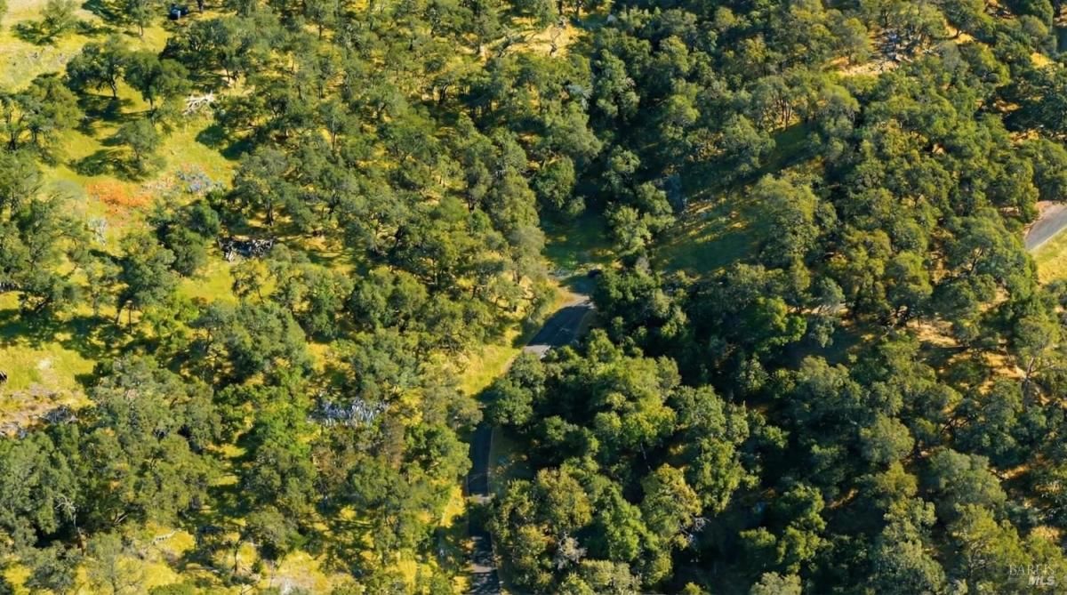 MLS #325100737 img 0