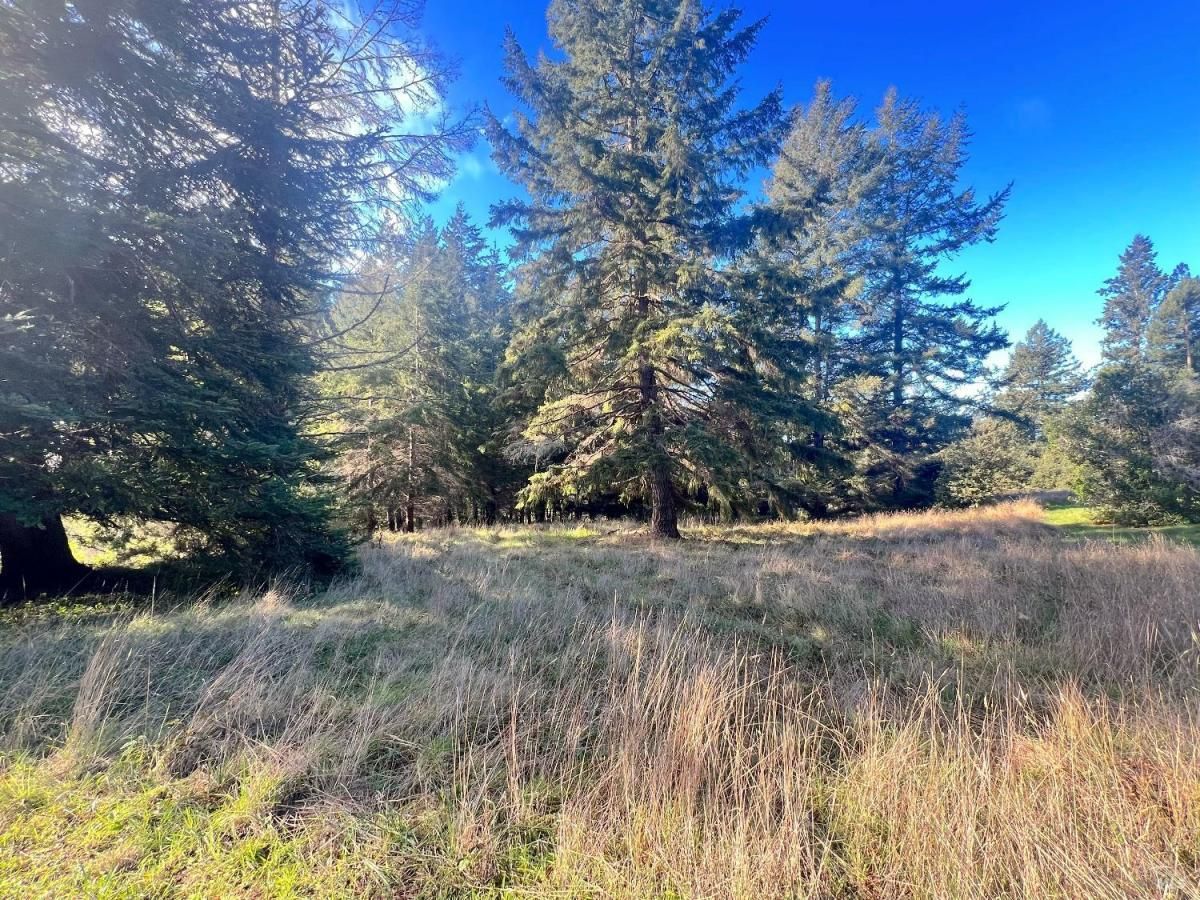 MLS #325101378 img 0