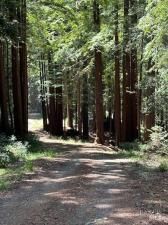 MLS #325101532 img 0